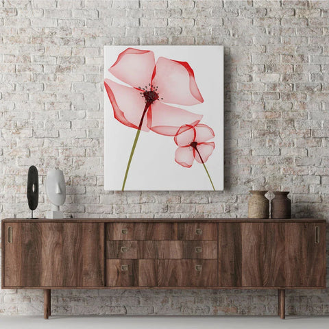 Crimson Blooms 2